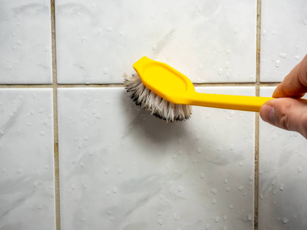 Best Best Mold Removal Companies  in Hackberry, TX