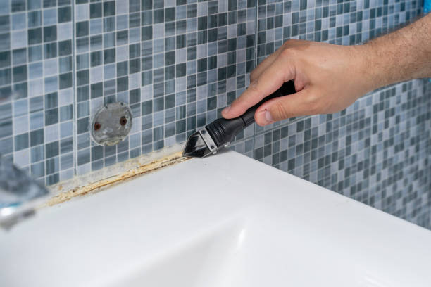 Best Residential Mold Removal  in Hackberry, TX