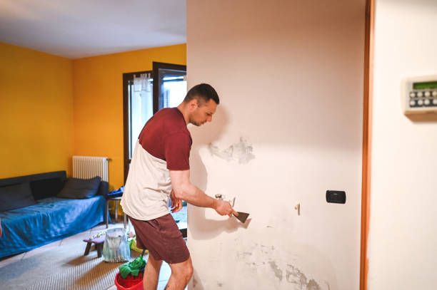 Best Mold Removal Company Near Me  in Hackberry, TX